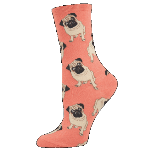 SocksmithUK Sticker
