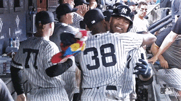 New York Hug GIF by New York Yankees