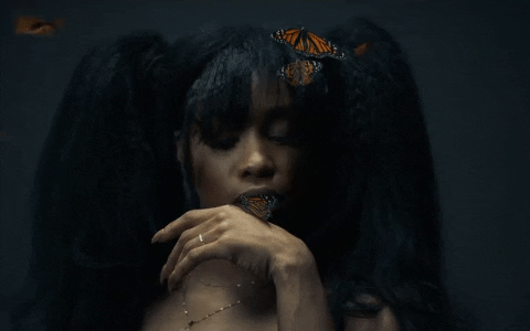 butterflies