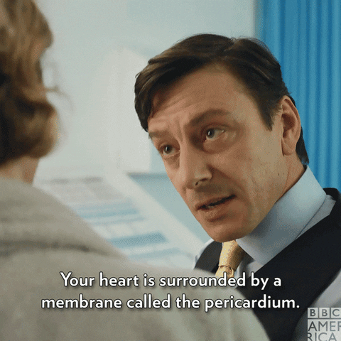 heart doctor GIF by BBC America