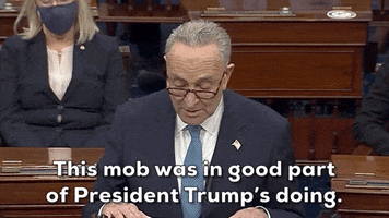 Chuck Schumer Insurrection GIF by GIPHY News