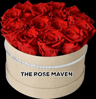 Roses Redroses GIF by The Rose Maven