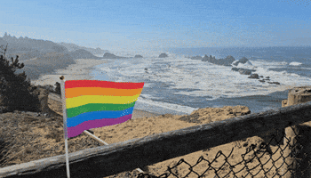 Rainbow Beach GIF by AceArchive