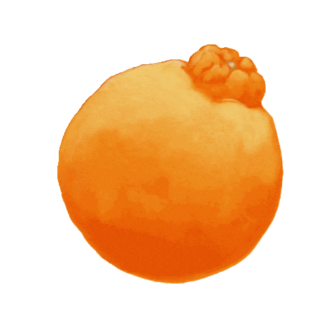 Bergamot Sticker