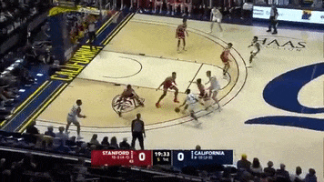 Basketball GIF
