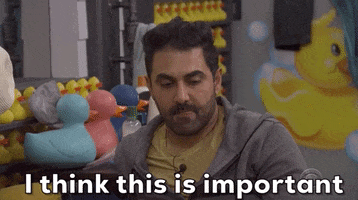 Important GIF by Big Brother