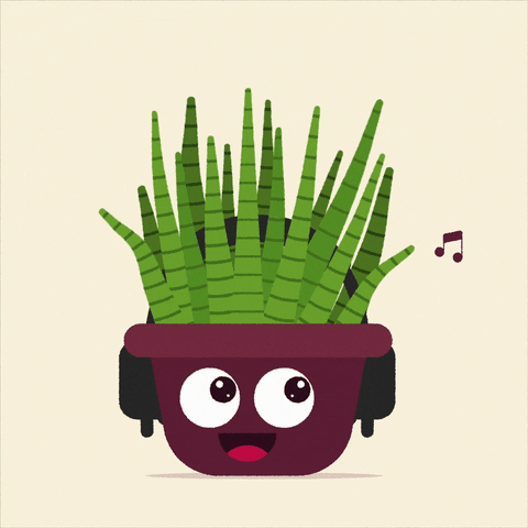 Animation GIF