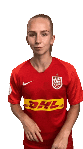 FC Nordsjaelland Sticker