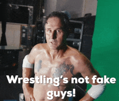Wrestlings Not Fake GIF by SUPER LTD
