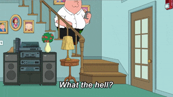 Home Working GIF by Family Guy