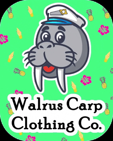 WalrusCarp walrus walruscarp walrus carp GIF