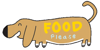 Basset Hound Sticker