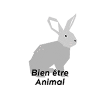 Vegan Rabbit Sticker by KissKissBankBank