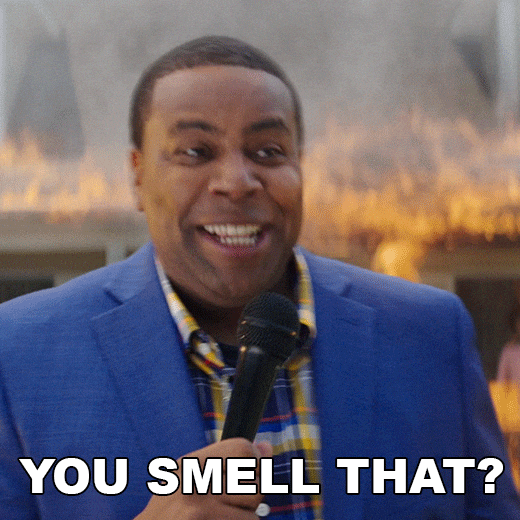 Movie gif. Kenan Thompson as Dexter Reed in Good Burger 2 stands with a microphone in front of a burning house. He sniffs as his hand humorously wafts the air and says, "You smell that?," which appears as text. 