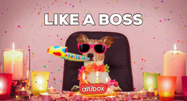 Killing It Like A Boss GIF by Altibox