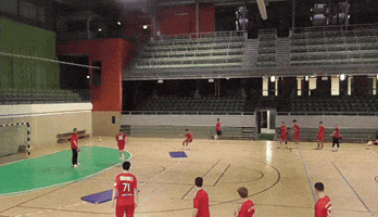 Handball GIF