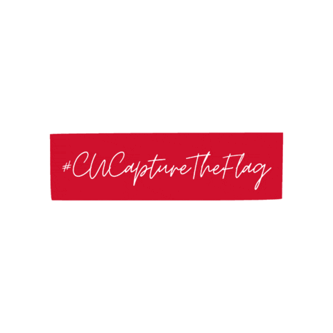 Carleton University Undergraduate Recruitment Sticker