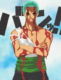 Best Zoro Gifs Primo Gif Latest Animated Gifs