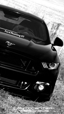 AutoCenterMeschede GIF