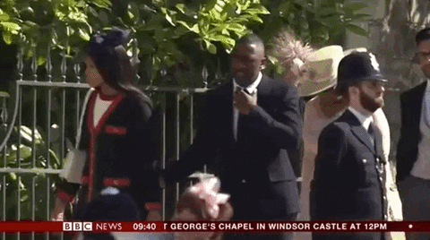Royal Wedding GIF by BBC - Find & Share on GIPHY