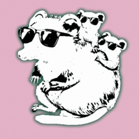 Opossum Gruene GIF