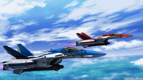 fighter