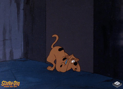 Scooby Doo Door GIF by Boomerang Official