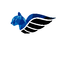 AircatFly Sticker