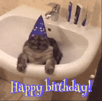 Happy Birthday GIF