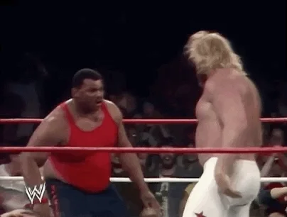 the refrigerator wrestling GIF by WWE