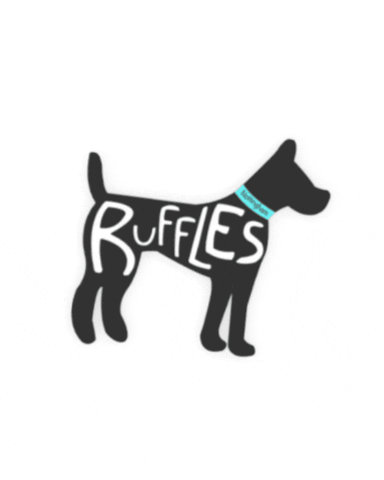 Dogs Daycare GIF by RufflesNottingham