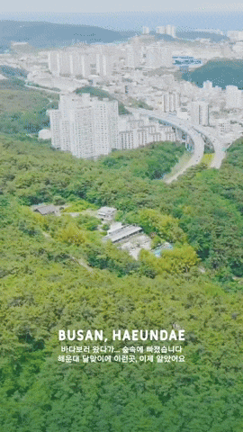 Fruiterie Forest Busan GIF