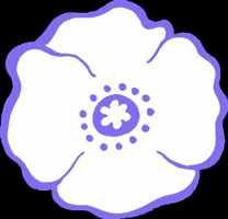 PeacePledgeUnion peace remembrance pacifist white poppy GIF