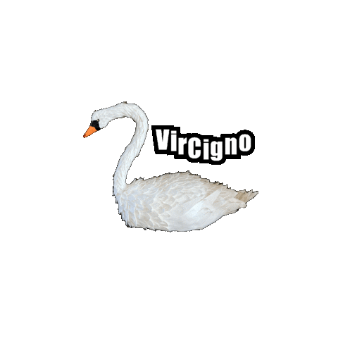 Swan Sticker