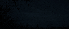 Medialifecrisis GIF