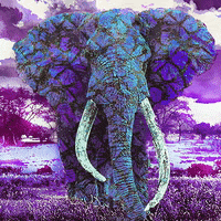 Elephant Surrealism GIF by Maryanne Chisholm - MCArtist