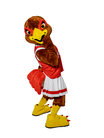 Red Hawks Msu Sticker by Montclair State University