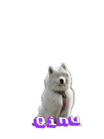 Puppy Smile Sticker