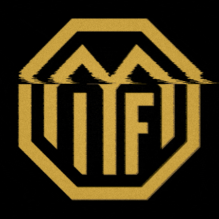 Melleruds IF GIF