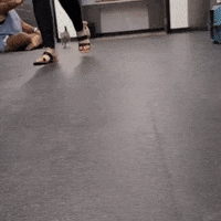 200.gif