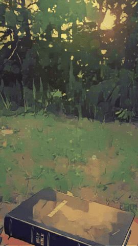 Semana Santa Cruz GIF