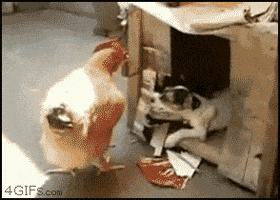 Time Post GIF Time Post GIF