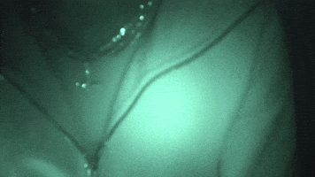 Yuma GIF by JEWELS