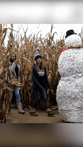 Freaky The Scary Snowman GIF