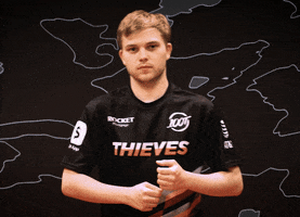 Represent League Of Legends GIF by 100 Thieves