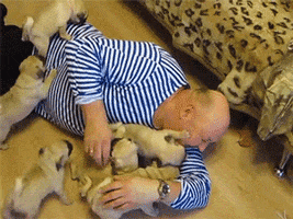 Love GIF