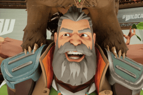 Wildcard GIFs on GIPHY - Be Animated