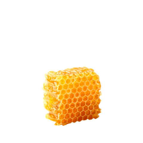 Honey Bee Sticker by Pass the Honey