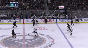 Hockey Sabres GIF