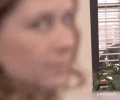Season 5 Nbc GIF by The Office